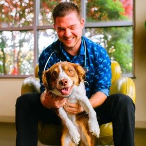 Meet your Posher, Joe